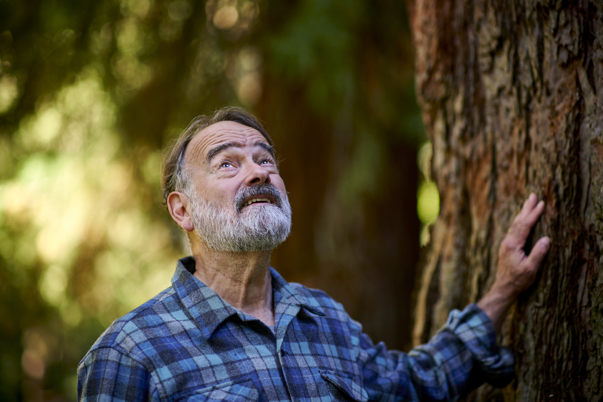 Michael Mason rests his hand on a large tree and looks up towards its branches.