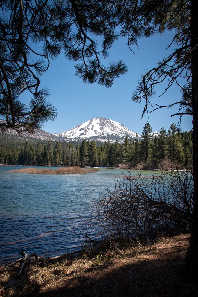 A snow-capped mountain with a level top stands in the background of a blue lake framed by pine trees.