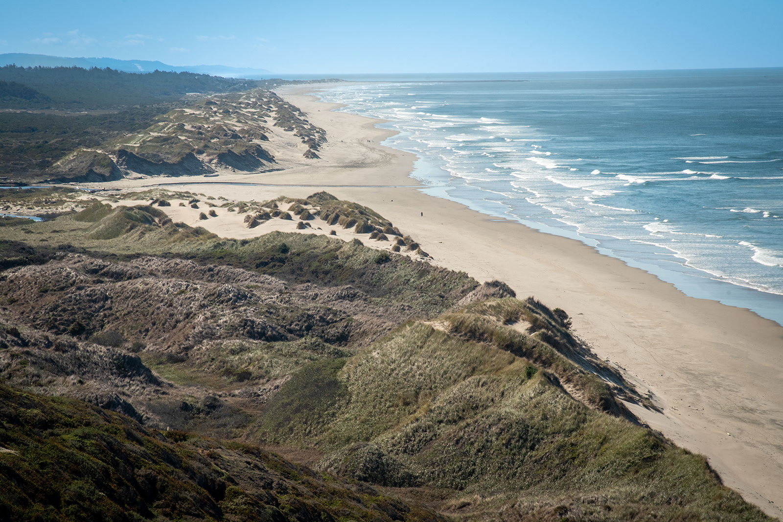 Oregon Dunes National Recreation Area as seen from a viewpoint along the 101 shows where dunes covered with vegetation turn to flat sand and rolling ocean waves