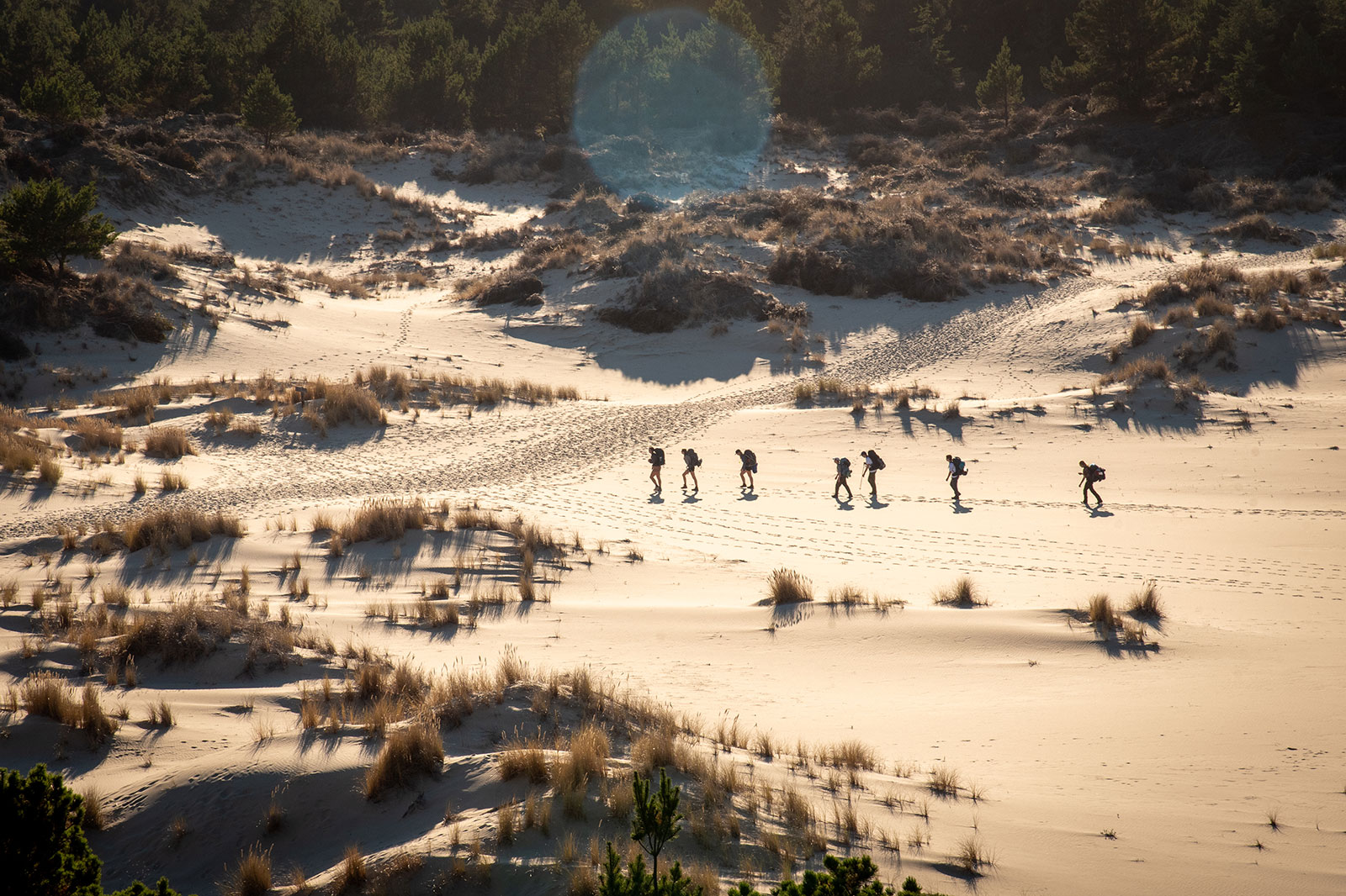 The silhouettes of seven people walking in a line with backpacks are seen on an open expanse of sand at Oregon Dunes Day Use Area