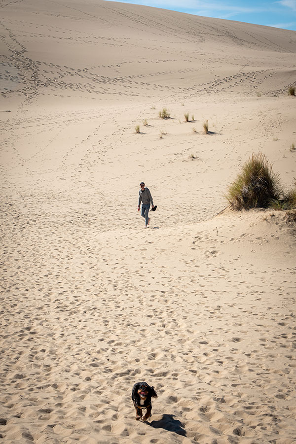 A small black dog runs toward the camera descending from the top of a large sand dune in Oregon Dunes National Recreation Area