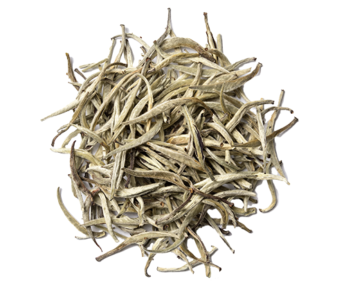 A pile of dried silver needle tea leaves