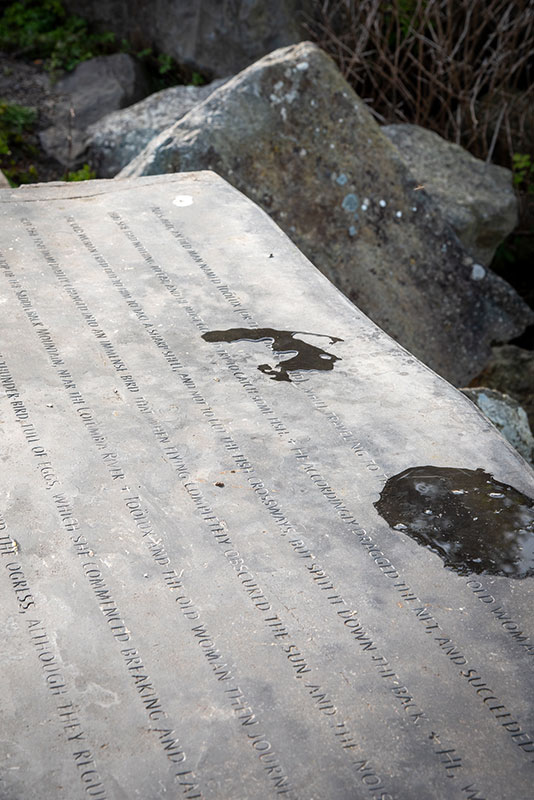 The words of a story are seen engraved on a smooth basalt surface with puddles of water.