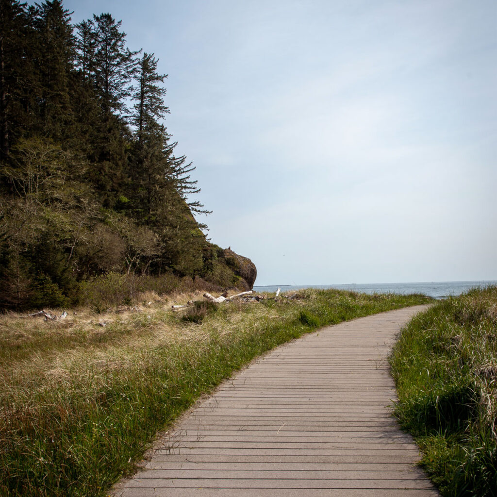 A boardwalk winds through tall grass toward the ocean