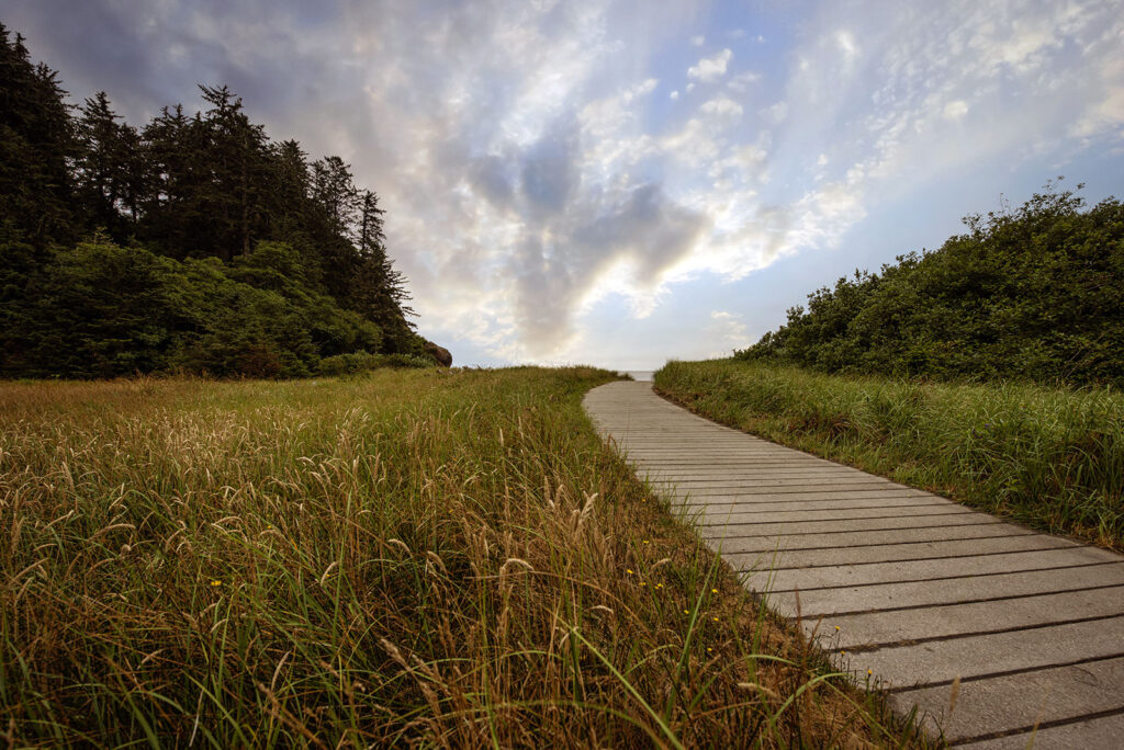 A boardwalk winds through tall grass