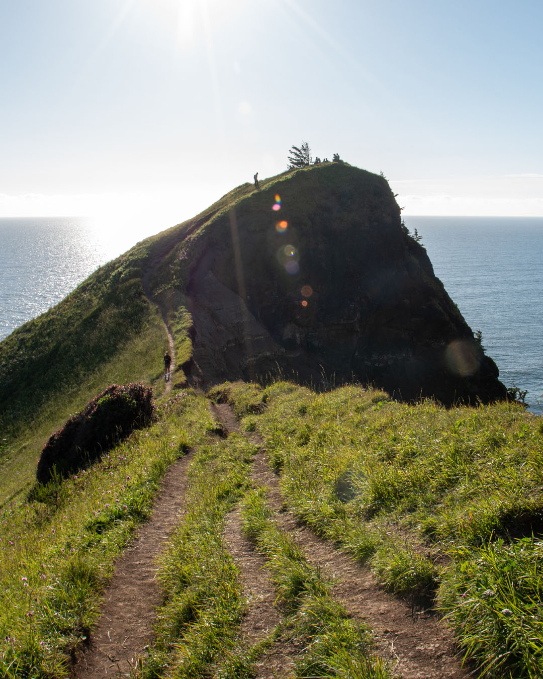 A trail winds up a steep cliff with the ocean on both sides