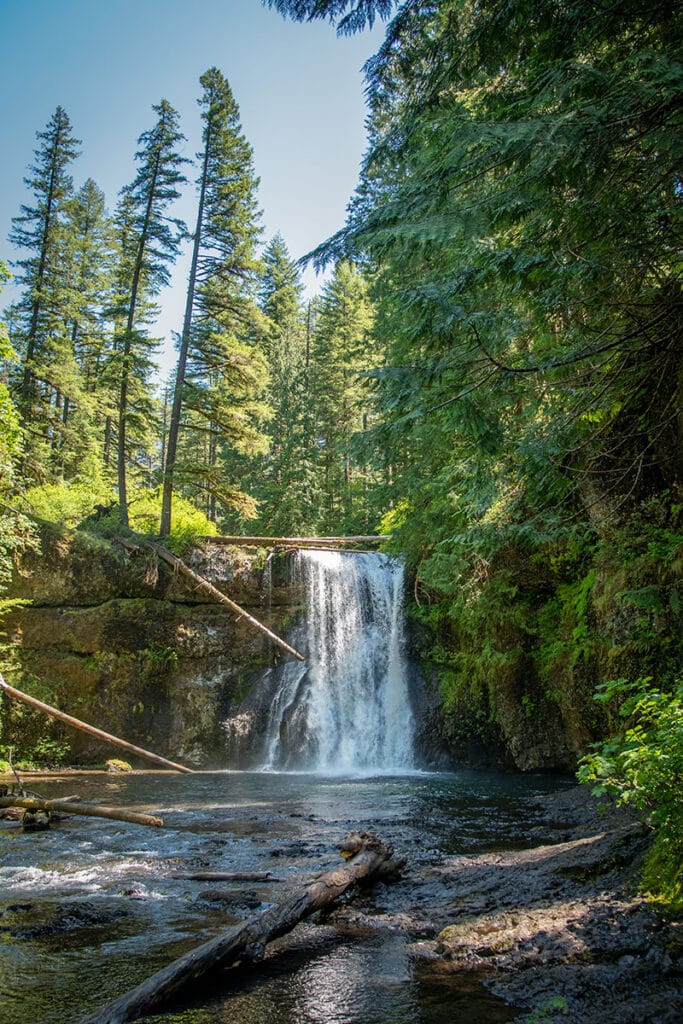 A short, wide waterfall spills into a pool filled with fallen logs